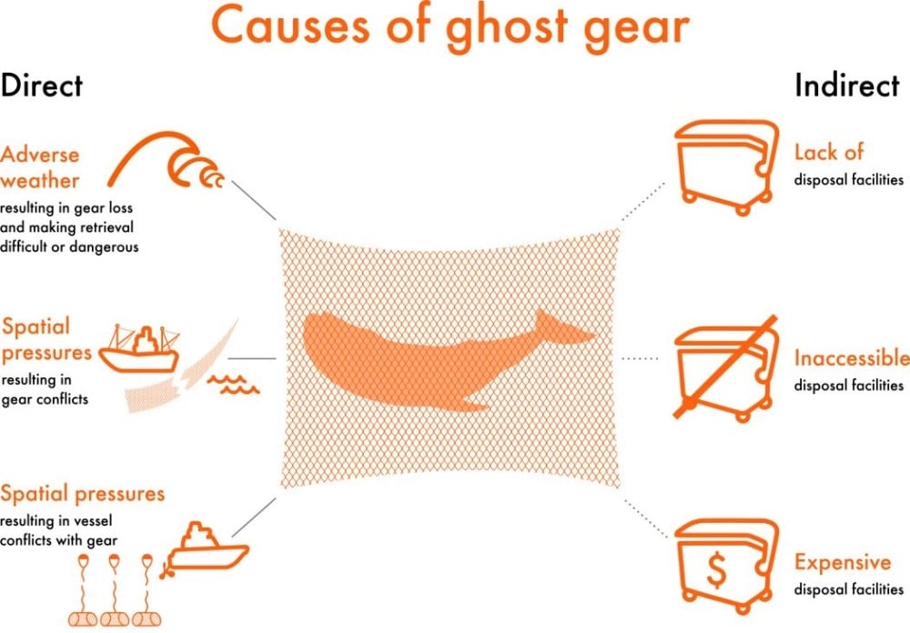 Sea Change tackling ghost fishing gear World Animal Protection