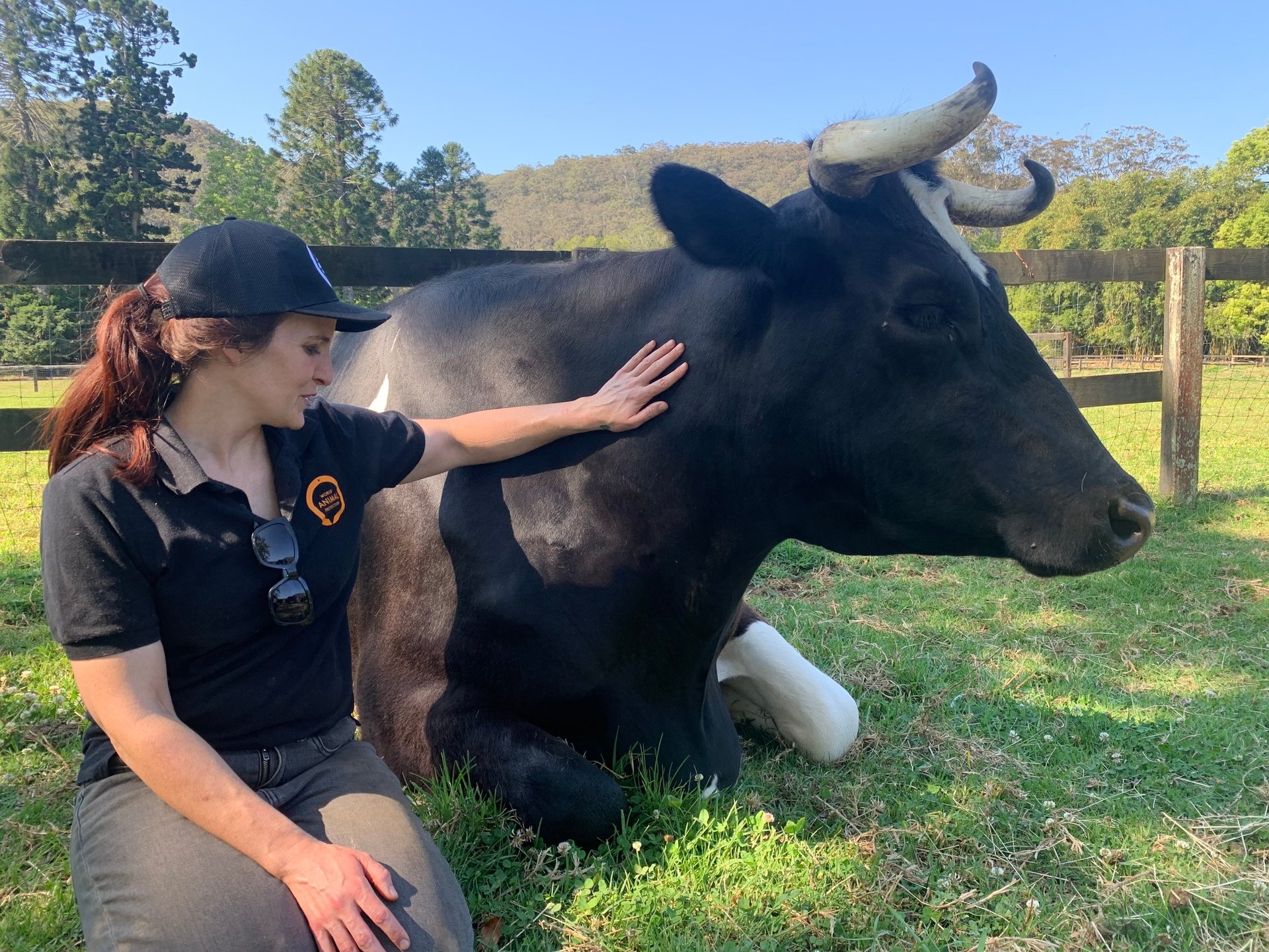 Hero staff moo to ewe cow